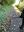 IMG_4660.jpeg