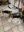 IMG_4758.jpeg