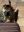 IMG_4803.jpeg