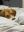 IMG_4823.jpeg
