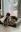 IMG_5155.jpeg