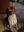 IMG_5209.jpeg