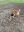 IMG_5305.jpeg