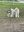 IMG_5310.jpeg