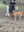 IMG_5325.jpeg