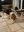 IMG_5353.jpeg