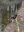 IMG_5417.jpeg