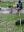 IMG_5426.jpeg