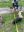 IMG_5428.jpeg