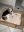 0A494BAB-4DFA-467C-824A-57B3F069FF22.jpeg