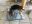 1332D483-BFEE-4BA6-A213-A7007CB2B431.jpeg