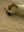 277118F7-D685-40B6-AB06-D405A2B1CF59.jpeg
