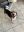 44D04FDB-48C8-473B-B316-6416DCA96700.jpeg