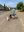 850FD327-8A4A-43B0-B856-C5D8ED8B6C2A.jpeg