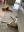 86B9AA5D-2F75-4BBA-83CD-052F43A3A6BA.jpeg