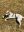 8DD71C72-8D15-42C1-ABC3-1941CBFB0CD4.jpeg