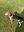 C01B9709-44A4-4D03-AC4C-84E1F28AAF3E.jpeg