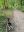 C456964B-AC8A-4DB2-A5B9-50A3C92DAC6C.jpeg