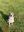 DCE5455D-8347-4DEA-9411-97D390A19F8A.jpeg