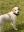DF4C3175-A0F2-46A7-A400-786CC4B76D1F.jpeg