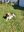 IMG-20230405-WA0008.jpg