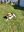 IMG-20230405-WA0010.jpg