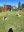 IMG-20230405-WA0012.jpg