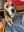 5207D609-26F6-4373-B75D-EF61547754C8.jpeg