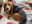 74CEBD62-854D-48FD-8A37-AD9E24D8E48E.jpeg