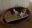 Bruno_2023-05-05_10-49-06.jpg