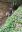 IMG_0461.jpeg