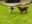 IMG_9779.jpeg