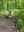 IMG_9808.jpeg