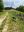 IMG_9875.jpeg