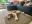 IMG_9899.jpeg