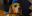 KeinTitel1200600px41.png
