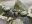 IMG_0204.jpeg
