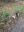 20231118_123152_resized.jpeg