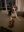 20231120_185443_resized.jpeg