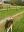 IMG_3836.jpeg