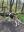 IMG_3842.jpeg
