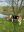 IMG_3844.jpeg