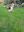 IMG_3849.jpeg