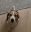 IMG_3925.jpeg