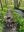 IMG_3933.jpeg