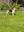 IMG_3947.jpeg