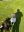 IMG_3955.jpeg