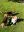 IMG_3956.jpeg