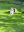 IMG_3960.jpeg