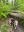IMG_4026.jpeg
